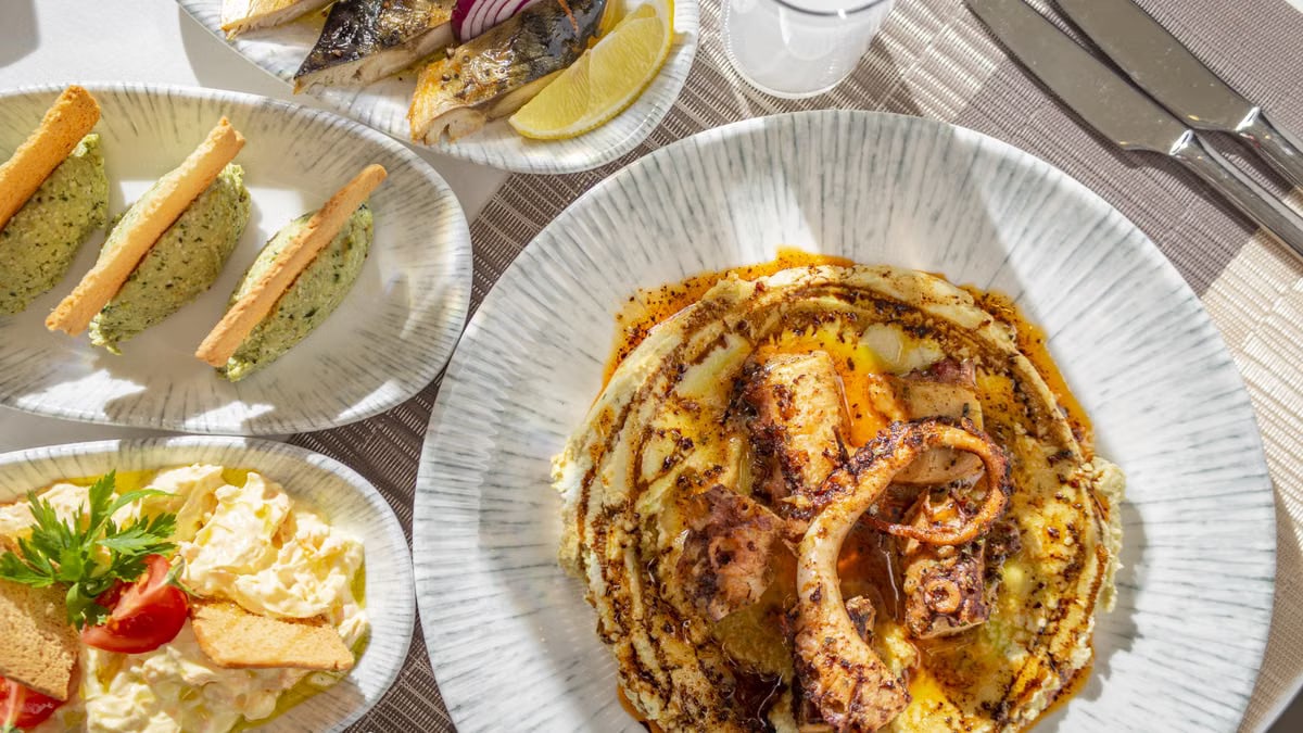 Delicious fine dining seafood platter featuring grilled octopus and fresh sides served on elegant tableware.